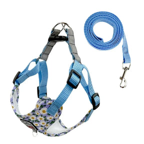 Adjustable Reflective Nylon Dog Collar & Leash Set – Trekly™