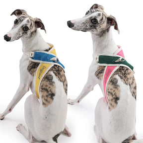 Padded No-Pull Pet Collar with Adjustable Nylon Strap – Cozwell™