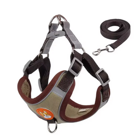 Polyester Mesh Dog Collar & Leash Set for Small to Large Dogs – Nokwell™
