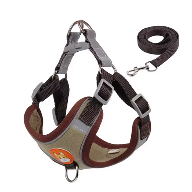 Polyester Mesh Dog Collar & Leash Set for Small to Large Dogs – Nokwell™