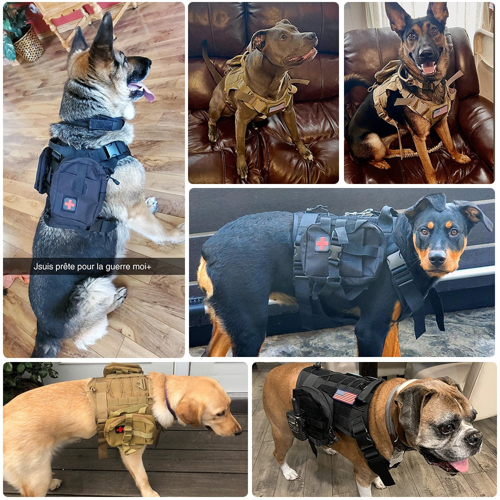 Nylon Chest Harness & Leash Training Set for Medium to Large Dogs – FieldRun™