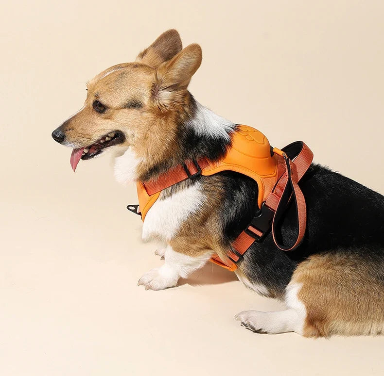 Retractable Dog Harness & Leash Set with Adjustable Straps – Retrako™