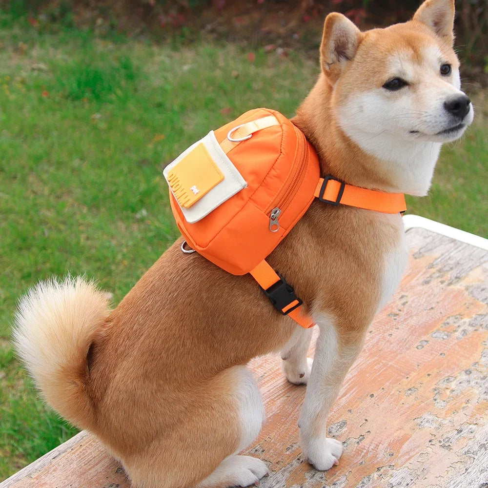 Backpack-Style Collar & Leash Set for Medium to Large Dogs – Wagport™