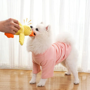 Plush Duck Pet Toy – Soft Wool Stuffed Chew Toy – Quacko™