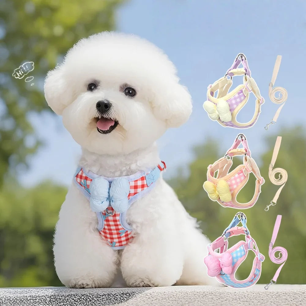 Plaid Bow Print Cotton Collar & Leash Set for Dogs – Chexlo™