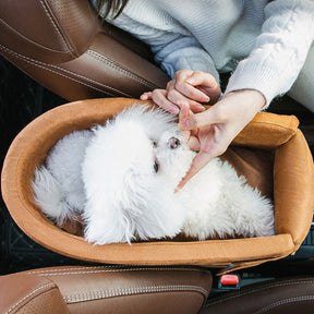 Center Console Pet Car Seat with Safety Leash for Dogs & Cats – Ridemo™