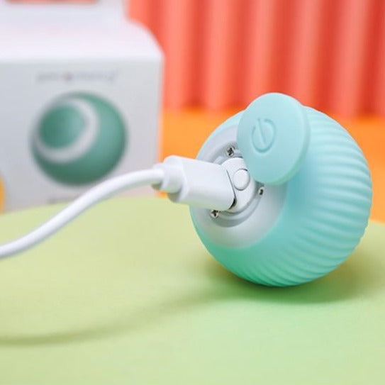 Self-Rolling Automatic Ball Pet Toy with USB Charging – Zumio™