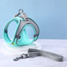 Reflective Collar & Leash Set for Dogs & Cats – Kinlo™