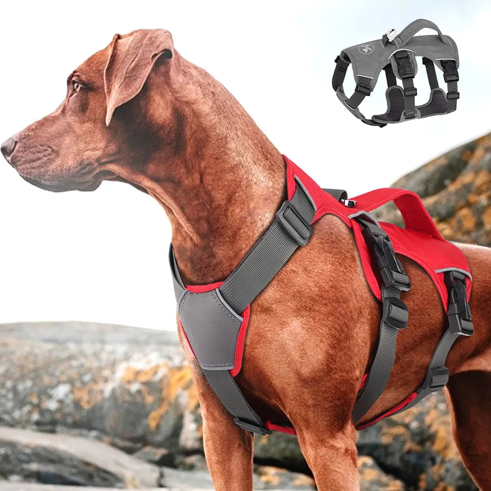 Padded Adjustable Chest Harness for Medium & Large Pets – Vorn™