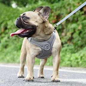Soft Reflective Nylon Chest Harness for Dogs & Cats – Dovex™