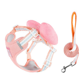 Adjustable Collar & Leash Set with Quick-Release D-Ring Buckle – Moxwell™