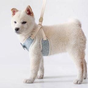Suede Collar & Leash Set for Small to Large Pets – Sudelle™
