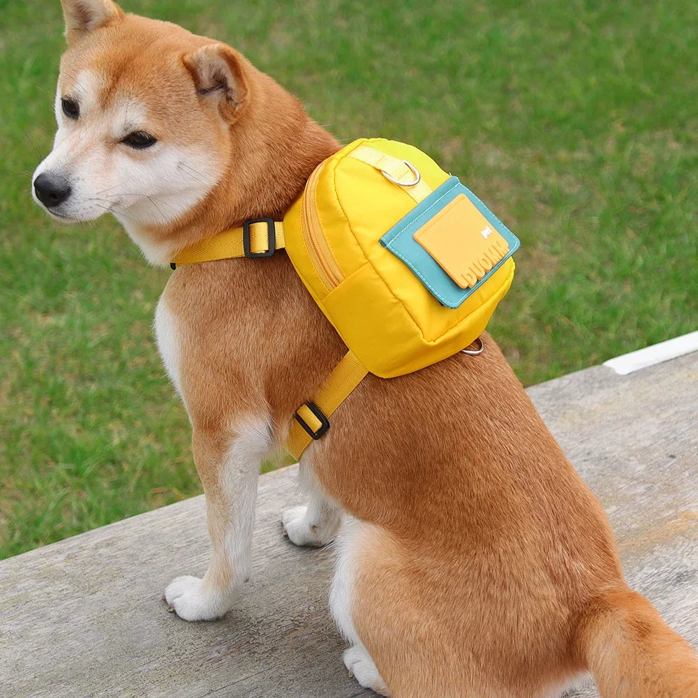 Backpack-Style Collar & Leash Set for Medium to Large Dogs – Wagport™