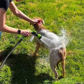 Pet Bath Shower Sprayer with Shampoo Dispenser – Rinsly™