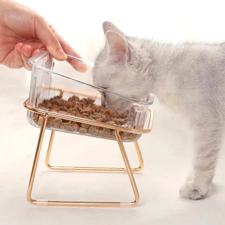 Elevated Clear Pet Bowl with Tilted Iron Base – Tiltera™