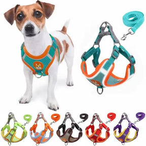 Polyester Mesh Dog Collar & Leash Set for Small to Large Dogs – Nokwell™