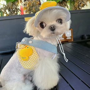 Pet Collar, Leash & Hat Set with Yellow & Blue Design – Zolkit™