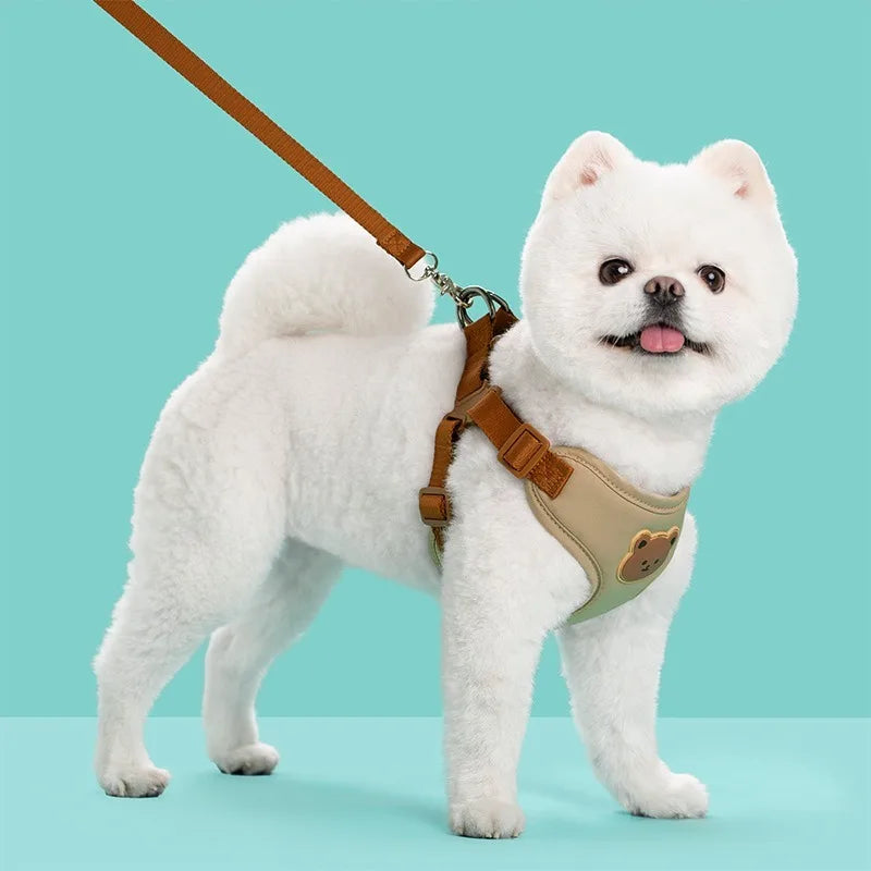 Teddy Bear Charm Polyester Collar & Leash Set for Pets – Baylo™