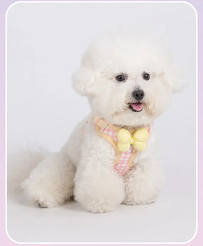 Plaid Bow Print Cotton Collar & Leash Set for Dogs – Chexlo™