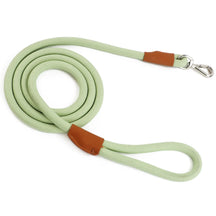 Nylon Pet Leash with Quick-Release Buckle for Everyday Walks – Ramsey™