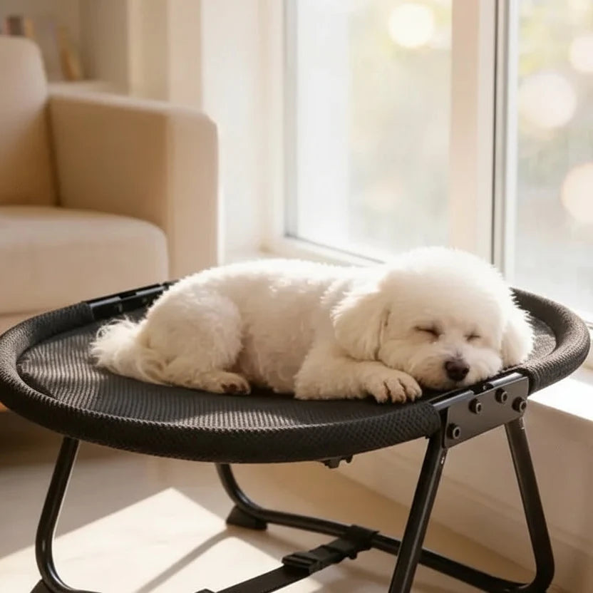 Cama Pet Rede Portátil Dobrável Loveni