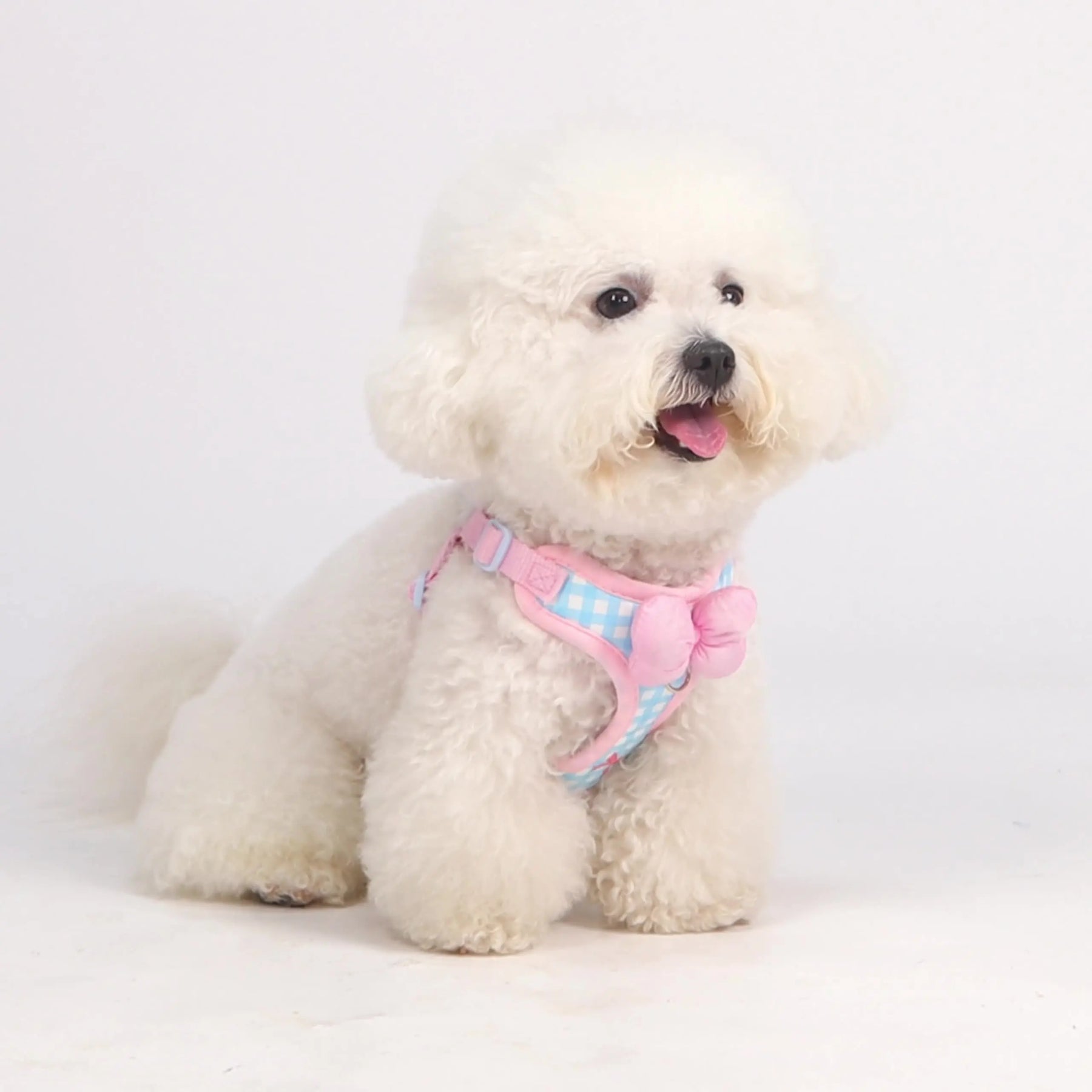 Plaid Bow Print Cotton Collar & Leash Set for Dogs – Chexlo™