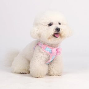 Plaid Bow Print Cotton Collar & Leash Set for Dogs – Chexlo™