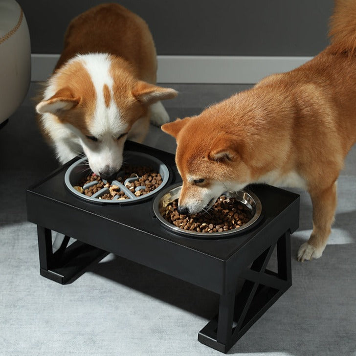 Elevated Adjustable-Height Pet Bowl with Slow Feeder – Bowdeck™