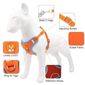 Polyester Mesh Dog Collar & Leash Set for Small to Large Dogs – Nokwell™
