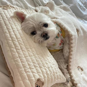 3-Piece Pet Bedding Set with Bear Embroidery – BearNest™