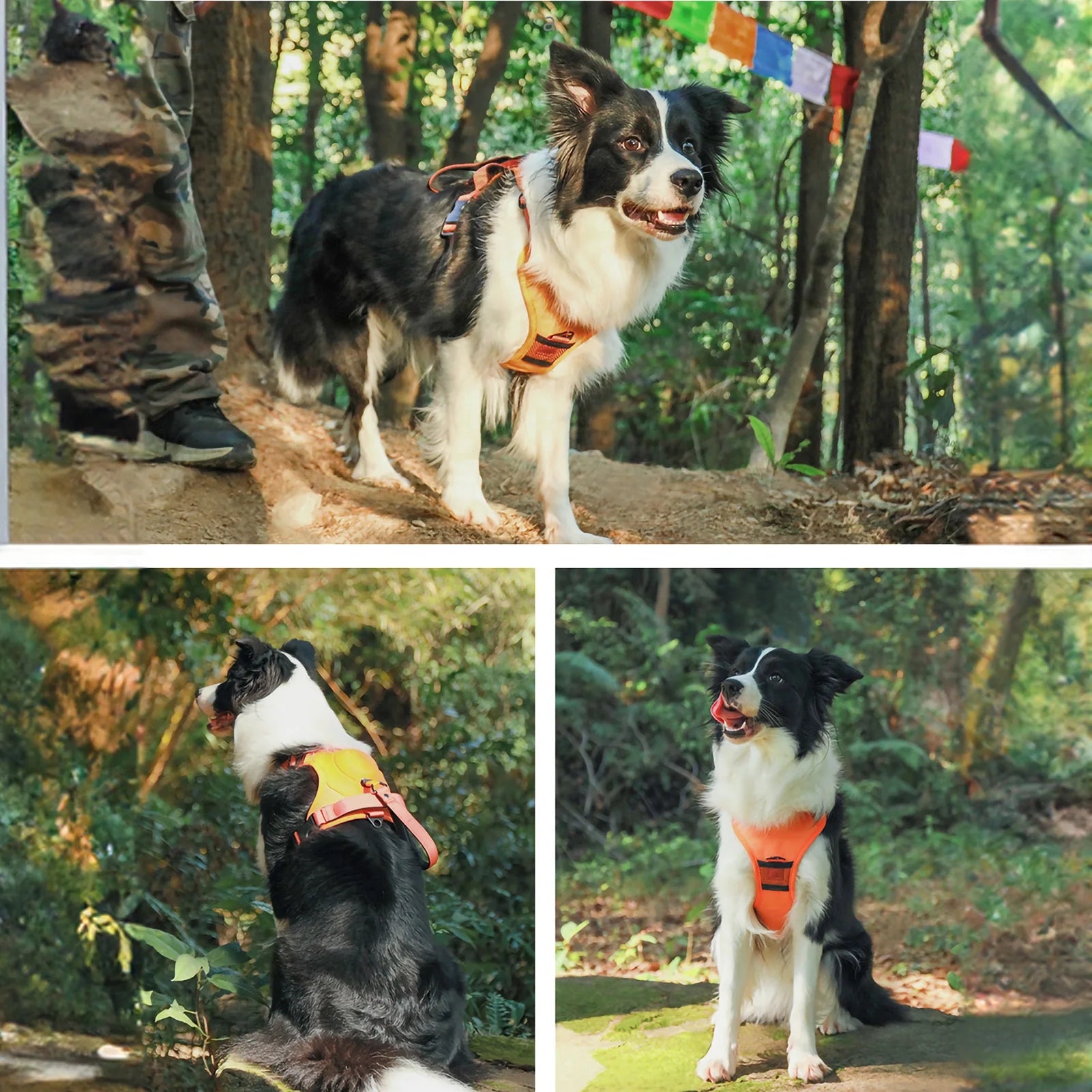 Retractable Dog Harness & Leash Set with Adjustable Straps – Retrako™