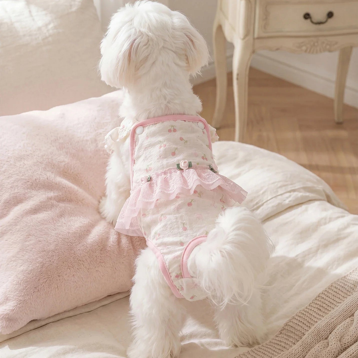Dog Diaper Panties for Female Dogs in Heat – Britchie™