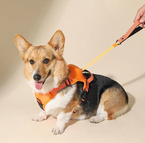 Retractable Dog Harness & Leash Set with Adjustable Straps – Retrako™