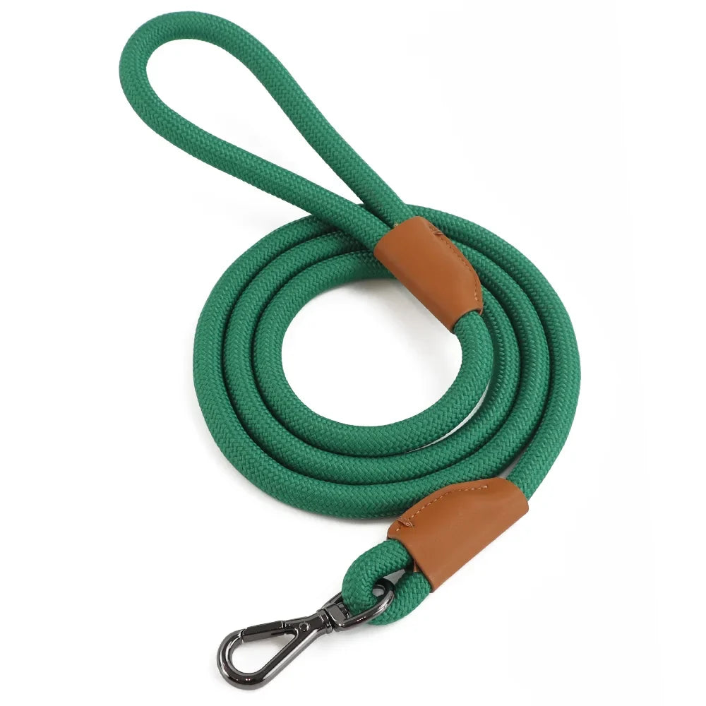 Nylon Pet Leash with Quick-Release Buckle for Everyday Walks – Ramsey™