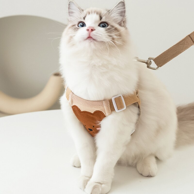 Adjustable Dog & Cat Collar and Leash Set with Lion & Bear Print – LoopLead™
