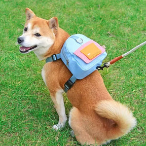 Backpack-Style Collar & Leash Set for Medium to Large Dogs – Wagport™