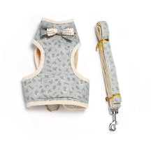 Suede Collar & Leash Set for Small to Large Pets – Sudelle™