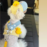 Pet Collar, Leash & Hat Set with Yellow & Blue Design – Zolkit™