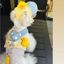 Pet Collar, Leash & Hat Set with Yellow & Blue Design – Zolkit™
