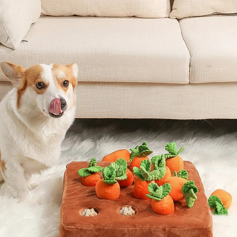 Carrot Snuffle Toy Interactive Slow Feeder for Dogs & Cats – Snuffo™