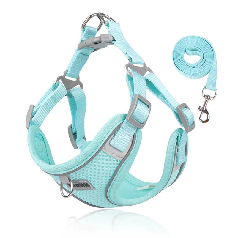Adjustable Harness, Collar & Leash Set for Small to Medium Dogs – WalkFit™