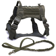 Nylon Chest Harness & Leash Training Set for Medium to Large Dogs – FieldRun™