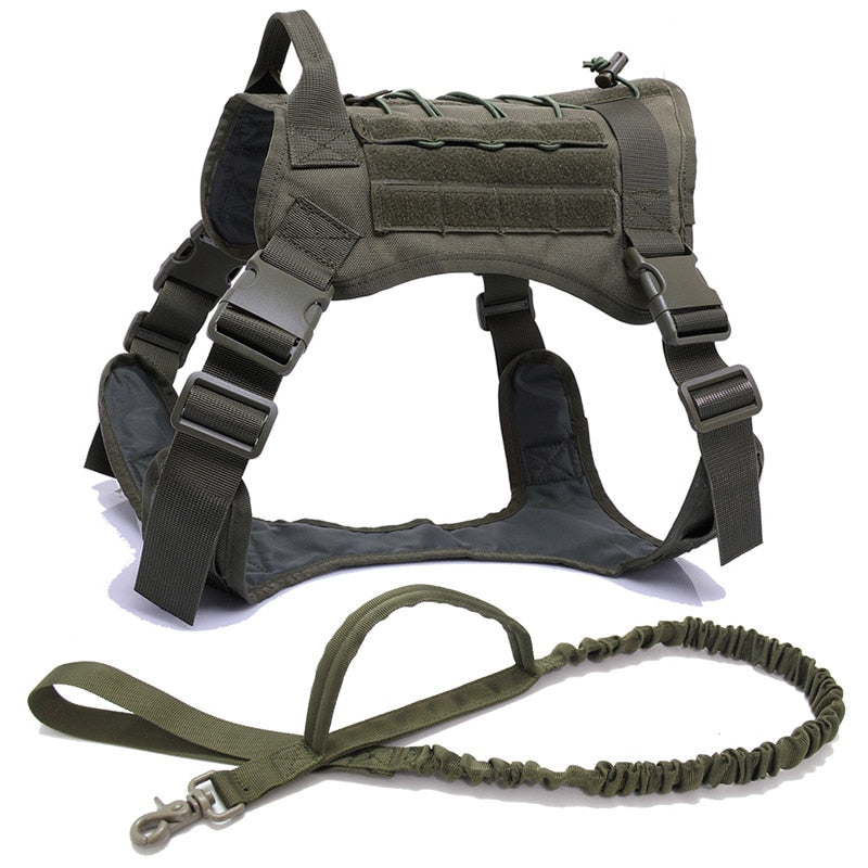 Nylon Chest Harness & Leash Training Set for Medium to Large Dogs – FieldRun™