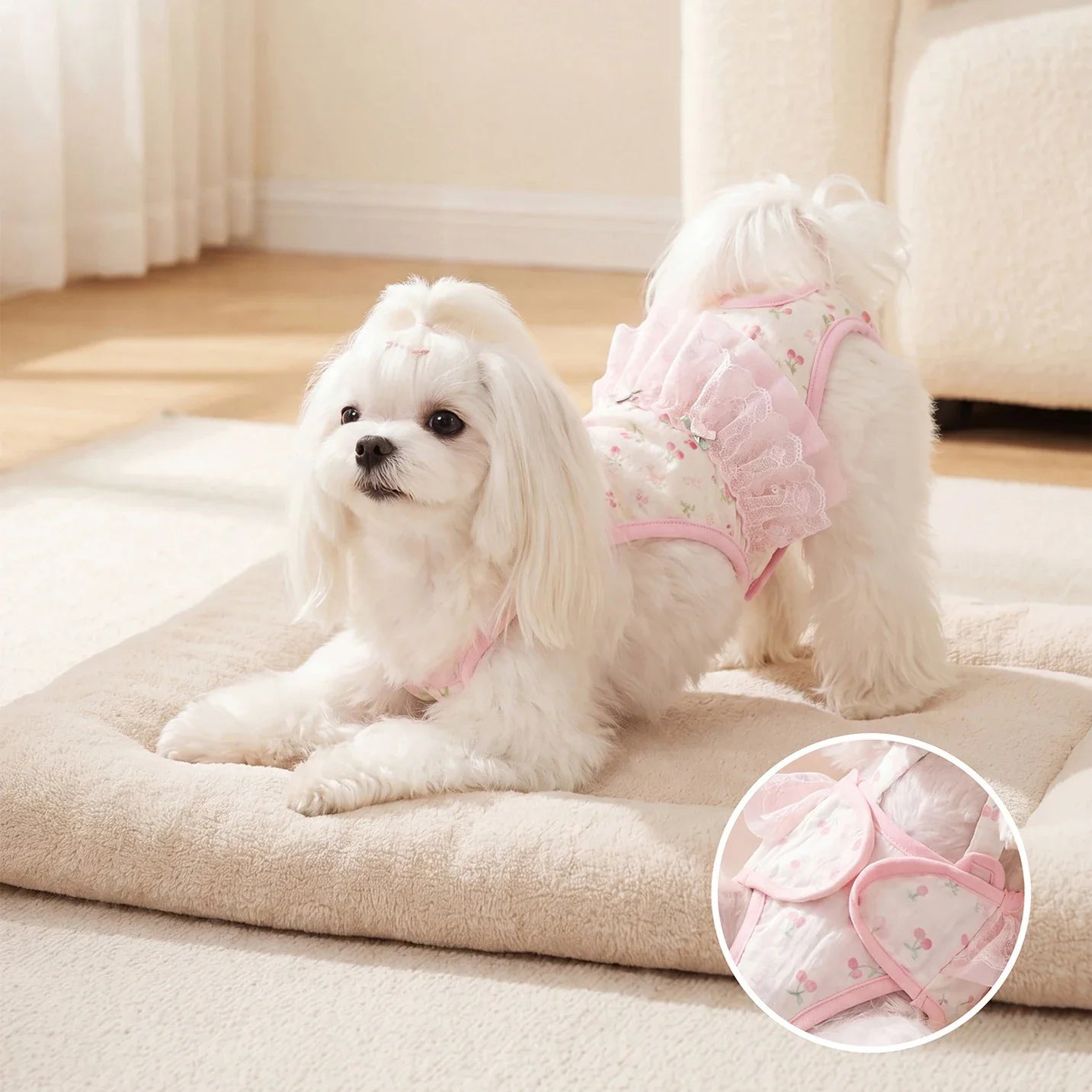 Dog Diaper Panties for Female Dogs in Heat – Britchie™