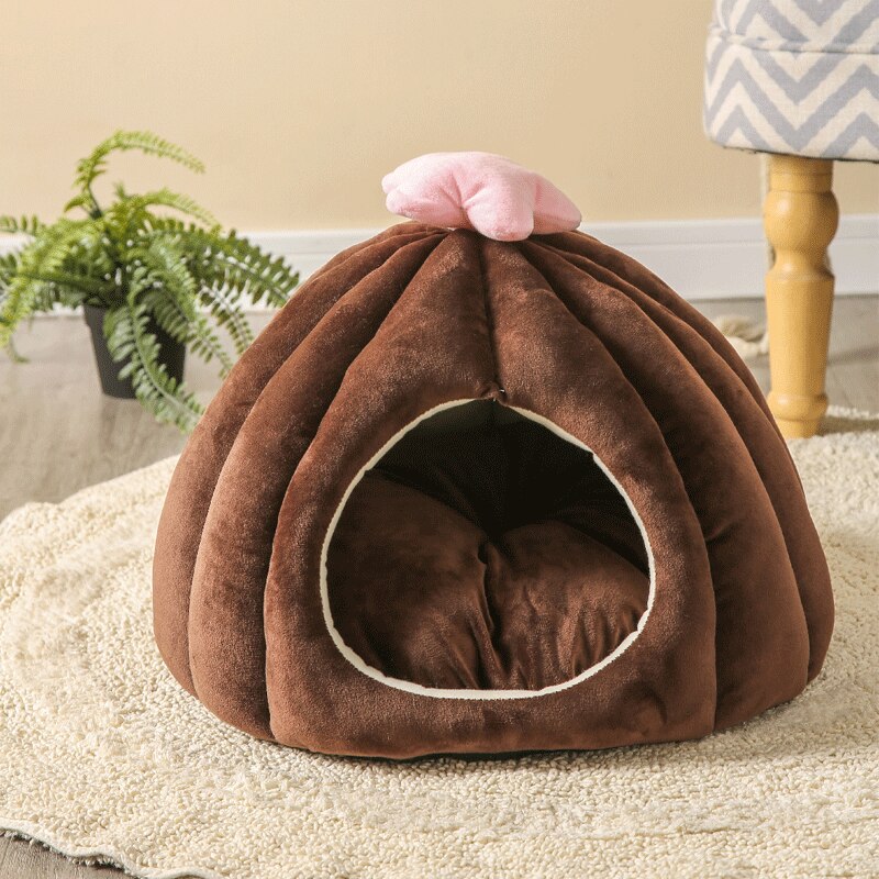 Flower-Shaped Pet Bed with Removable Cushion – CactusBloom™
