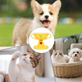 Adjustable Elevated Pet Bowl with Non-Slip Base for Dogs & Cats – Vertiko™
