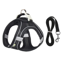 Reflective Collar & Leash Set for Dogs & Cats – Kinlo™