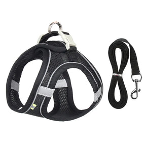 Reflective Collar & Leash Set for Dogs & Cats – Kinlo™