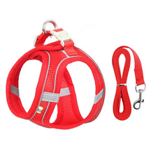 Reflective Collar & Leash Set for Dogs & Cats – Kinlo™