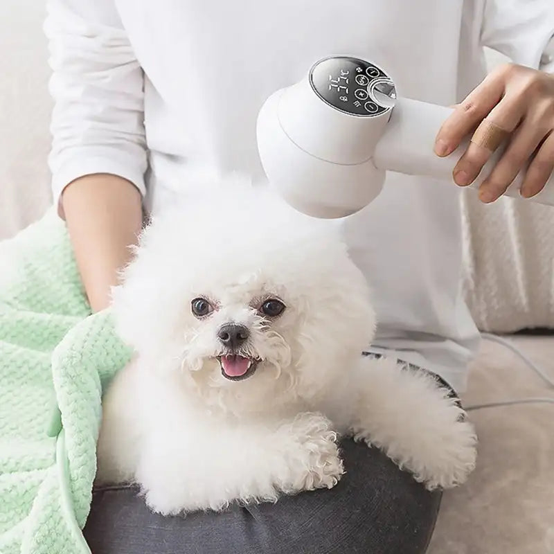 2-in-1 Pet Hair Dryer & Slicker Brush for Dogs & Cats – Furzon™